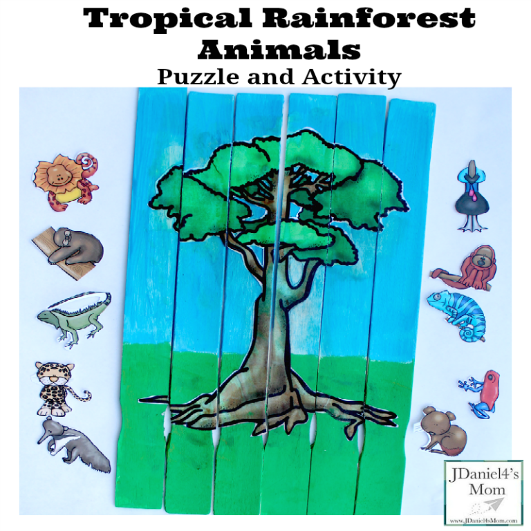 Tropical Rainforest Animals Puzzle and Activity