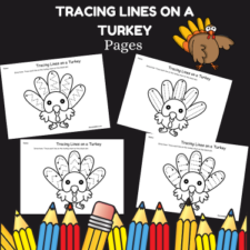 Tracing Lines on a Turkey - JDaniel4s Mom