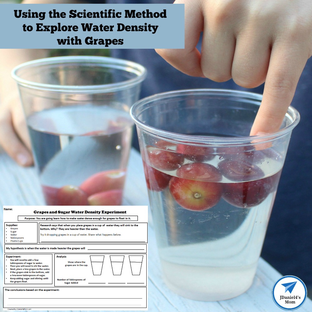 Using The Scientific Method To Explore Water Density With