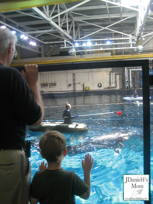 Visiting the Georgia Aquarium and More