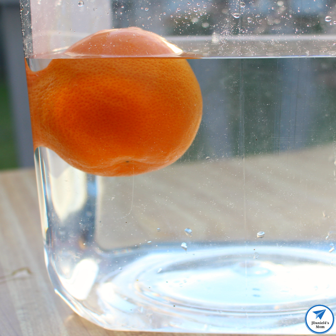Exploring the Density of Orange Parts Using the Scientific Method Experiment and Free Experiment - Floating Orange