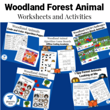 Woodland Forest Animal Worksheets and Activities Small Square