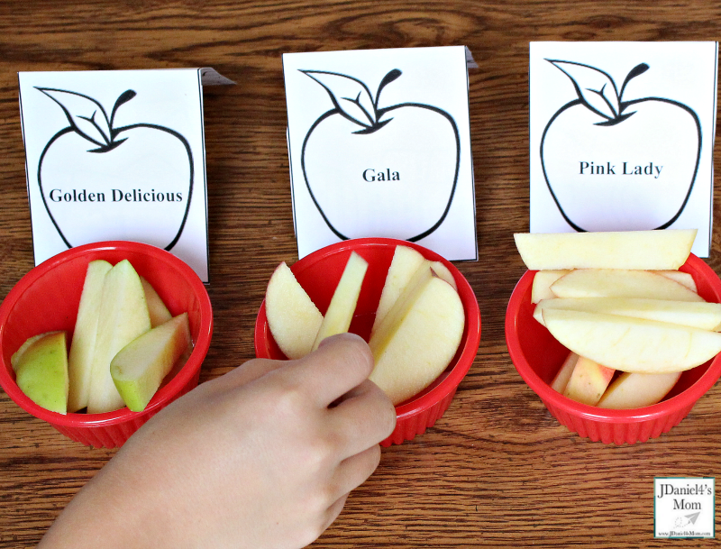 Apple Taste Test with Printables and Editable Place Cards - Taste Testing