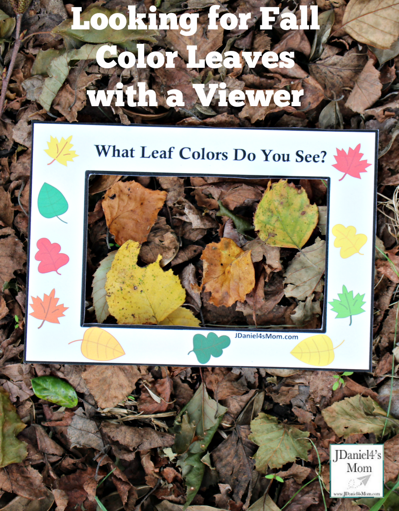 Fall Leaf Colors Viewer - Children at home or students at school can used these viewers to look for fall color leaves on the ground, in bushes or in trees. This is a great way to work on colors and explore leaves. You can even take leaves inside to explore them in a science center.