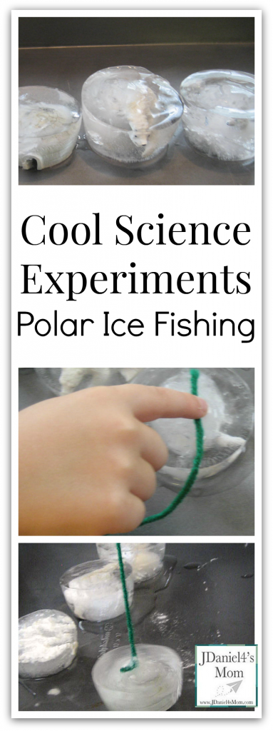 Cool Science Experiments- Polar Ice Fishing