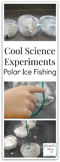 Fun Science- Polar Ice Fishing