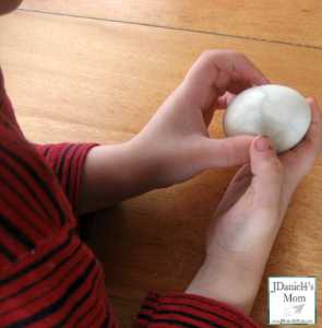 Cool Science Experiments- Spider Eggs Being Looked Over