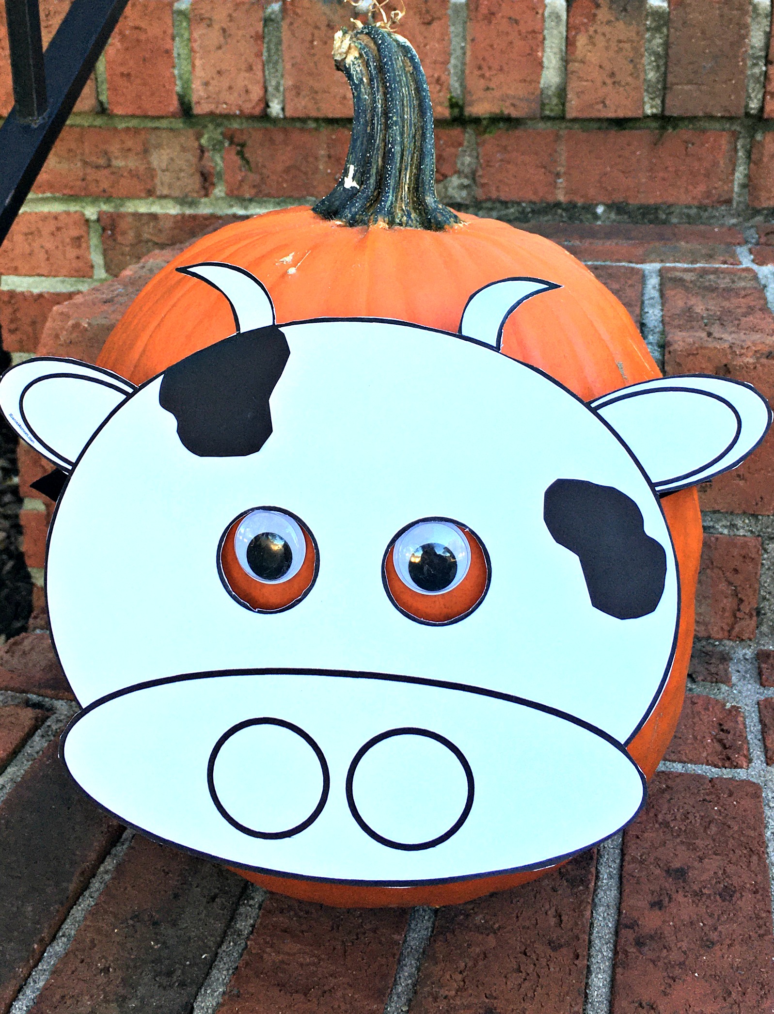 Pumpkin Decorating Ideas - Cow Mask