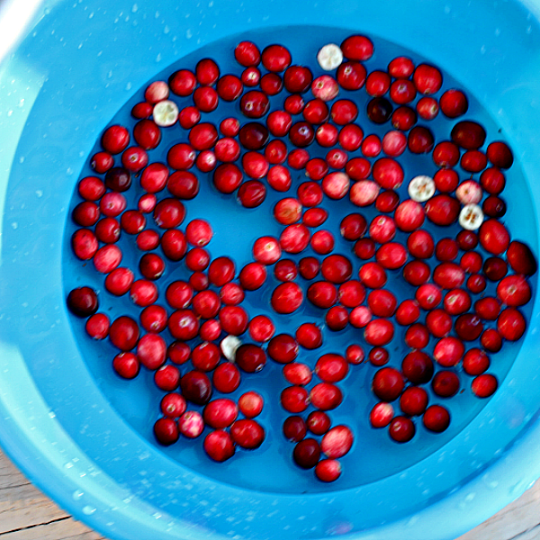 Do Cranberries Sink or Float Thanksgiving Science -Cranberries in a Tub