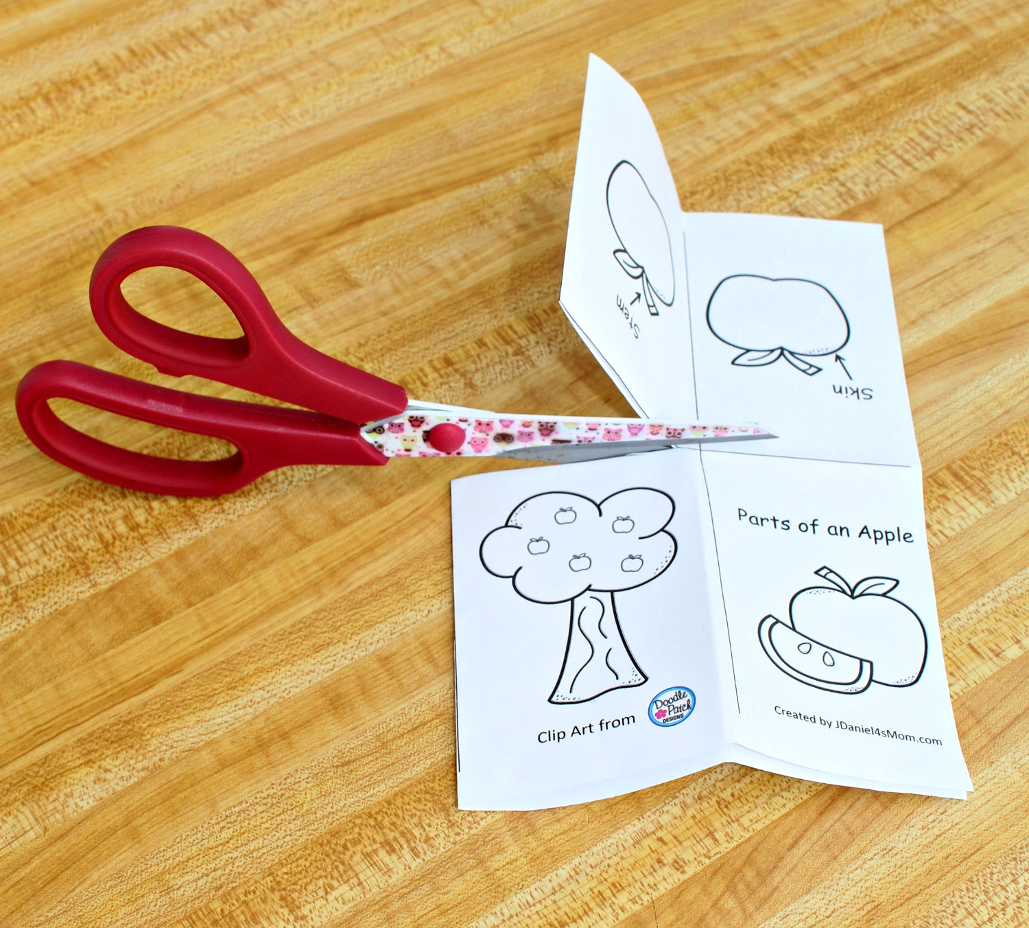 Parts of an Apple Printable Read and Color Mini Book  - Making the Center Cut