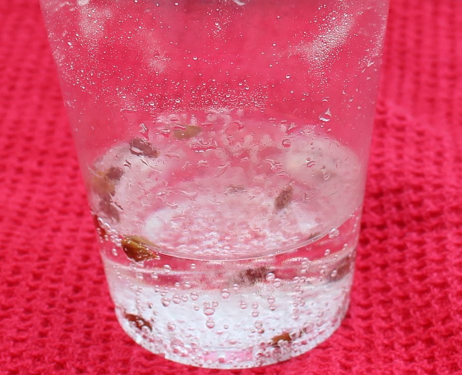Jumping Apple Seeds from Ten Red Apples Apple Experiment for Kids of All Ages - Jumping Seeds