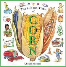 The Life and Times of Corn
