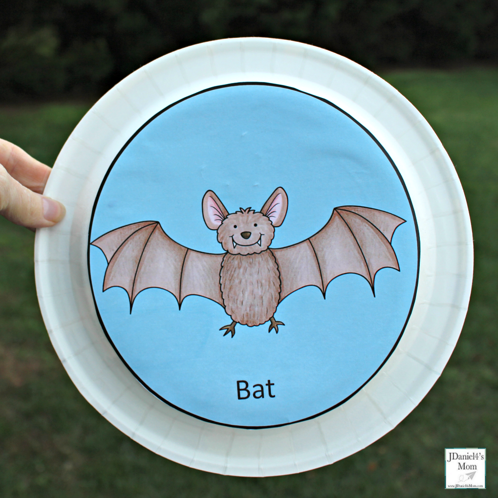 Echolocation Activity for Kids- This is a fun sensory and science activity. Here is the bat plate for the activity.