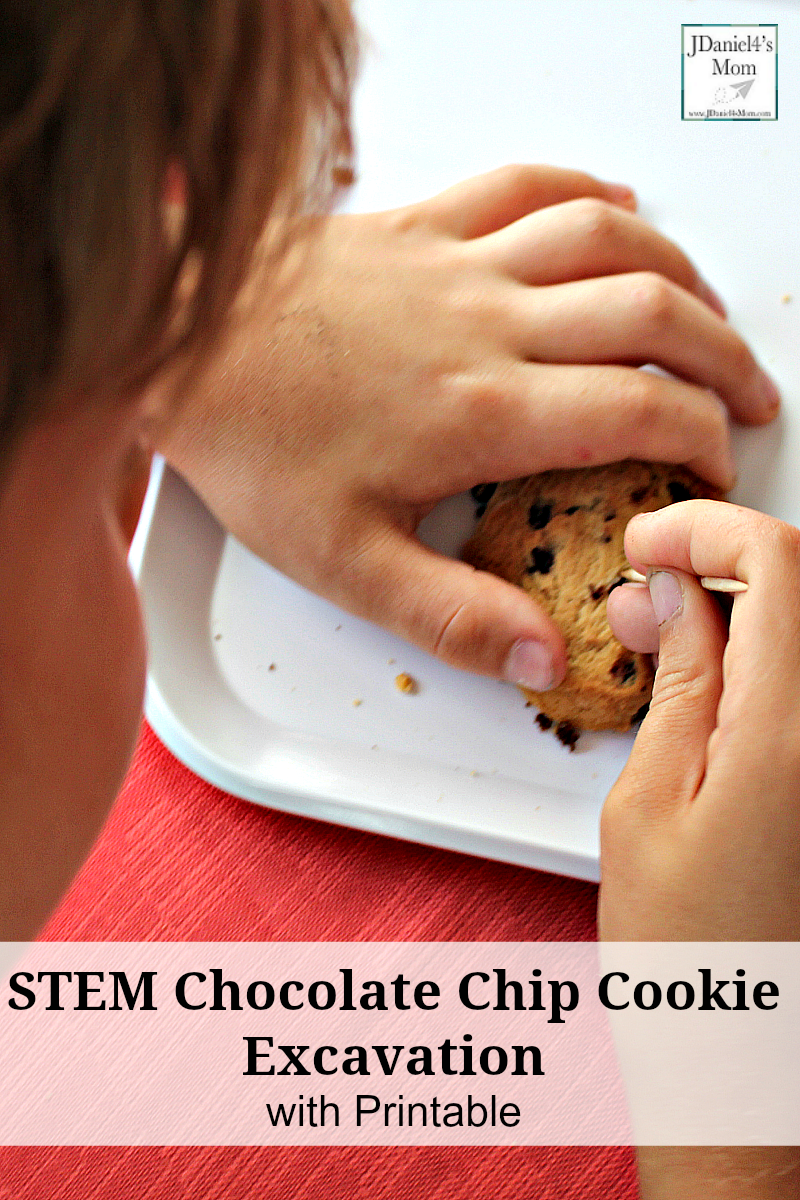 STEM Chocolate Chip Cookie Excavating Activity with Free Recording Printable - This STEM activity would be a wonderful to do during a geology unit, dinosaur study, or just as a fine motor activity with your children at home or students at school.