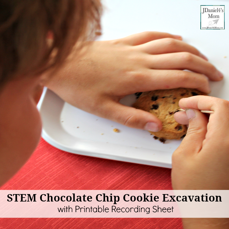 CSTEM Chocolate Chip Cookie Excavating Activity with Free Recording Printable (Looking for Chips with a Toothpick)