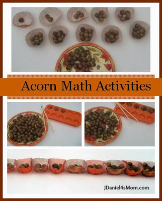 acorn math activities