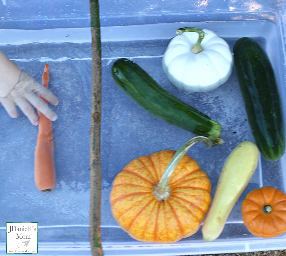 Do Pumpkins Float? Do Other Fruits and Veggies Float? Stop by and see what we learned in this STEM experiment.