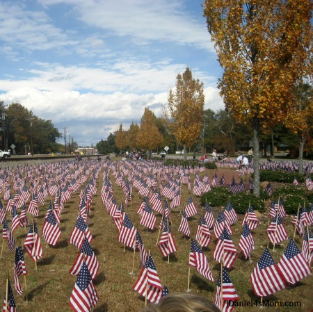 I Am Grateful for Family {21 Days of Gratitude Challenge} - Field of Flags