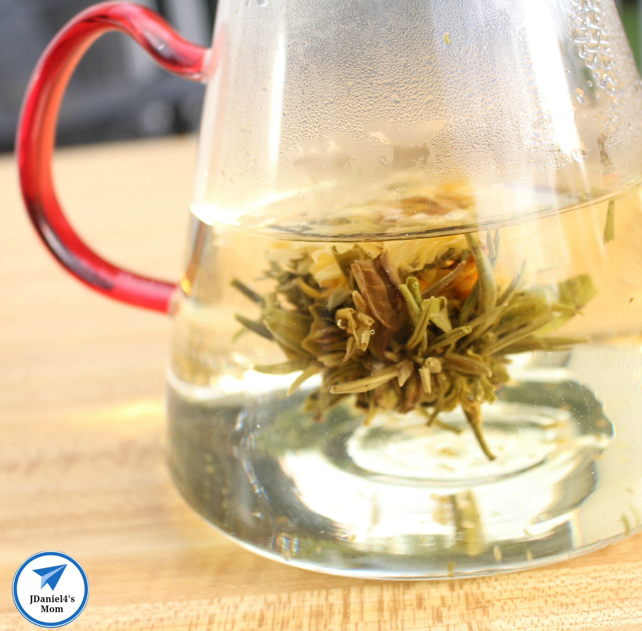 Using Your Senses to Explore Infused Water- Flower Tea Pod Blooming in the Teapot 