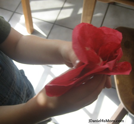 How to Make a Coffee Filter Poppy