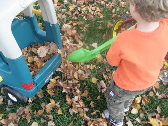 jd4smom_loadingleaves-copy