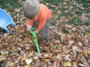 JDaniel and Leaves