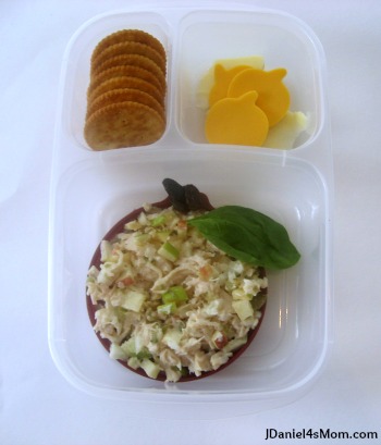 Kid's Lunch - Apple Chicken Salad Bento