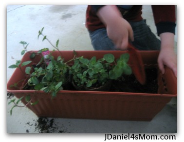 Digging Into Gardening- Mom Herb Garden for Mother's Day