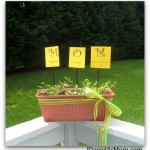 Digging Into Gardening- Mom Herb Garden for Mother's Day