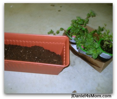 Digging Into Gardening- Mom Herb Garden for Mother's Day