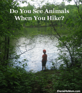 Do You See Animals When You Hike?