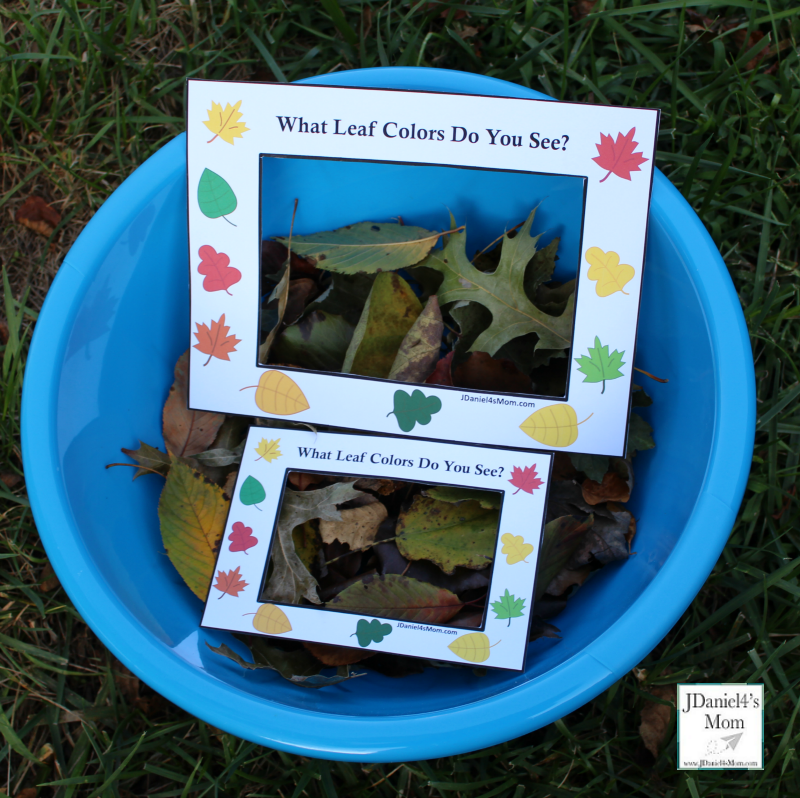 Fall Leaf Colors Viewer - Children at home or students at school can used these viewers to look for fall color leaves on the ground, in bushes or in trees. This is a great way to work on colors and explore leaves. You can even take leaves inside.