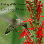 Living With Cancer- Cherishing Moments