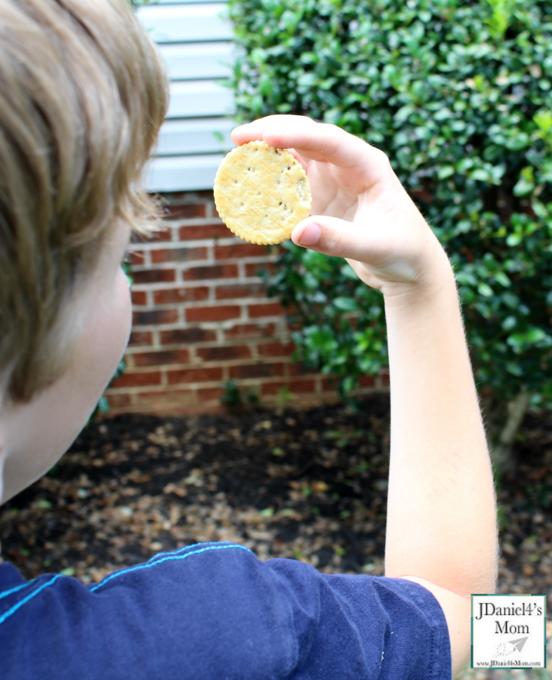 Do Crackers Make Good Pinhole Lens STEM Activity with Recording Sheet (Looking at a Bush.)