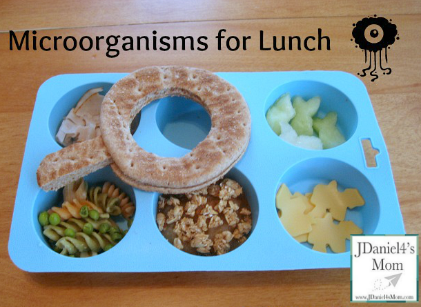 Particularly Loves Microorganisms Lunch for Kids Close Up