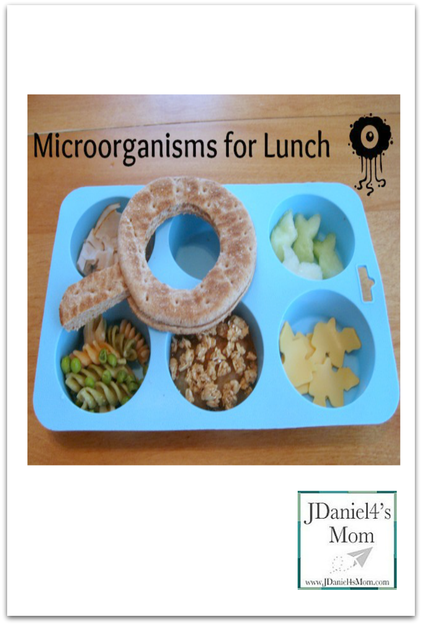 Particularly Loves Microorganisms Lunch for Kids