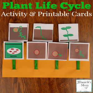 Plant Life Cycle Activity and Printable