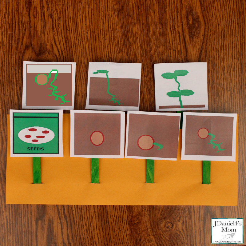 plant-life-cycle-activity-and-printable-cards