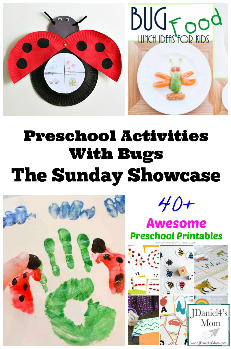 Preschool Activities With Bugs- The Sunday Showcase