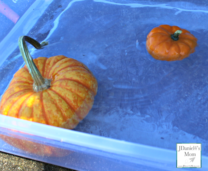 Do Pumpkins Float? Do Other Fruits and Veggies Float? Stop by and see what we learned in this STEM experiment.