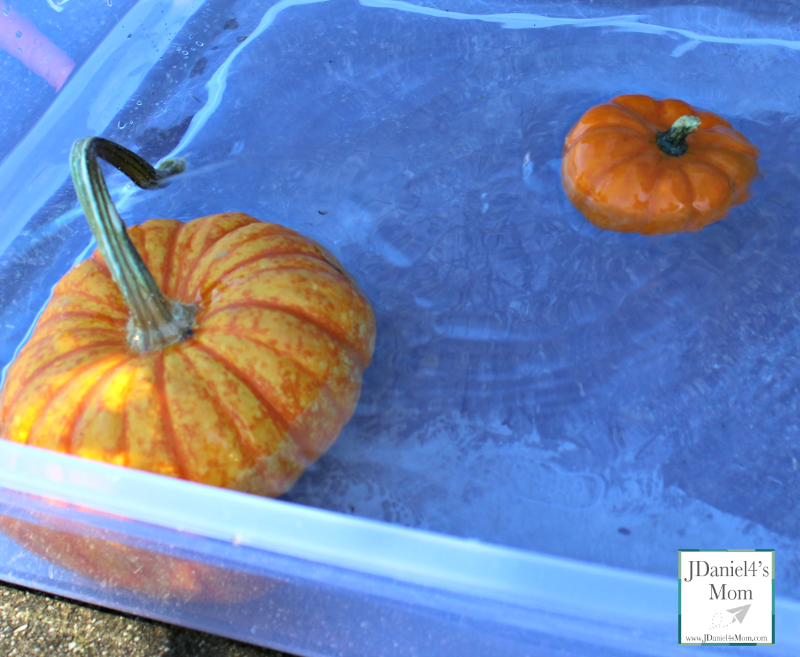 peach and pumpkins mambo float