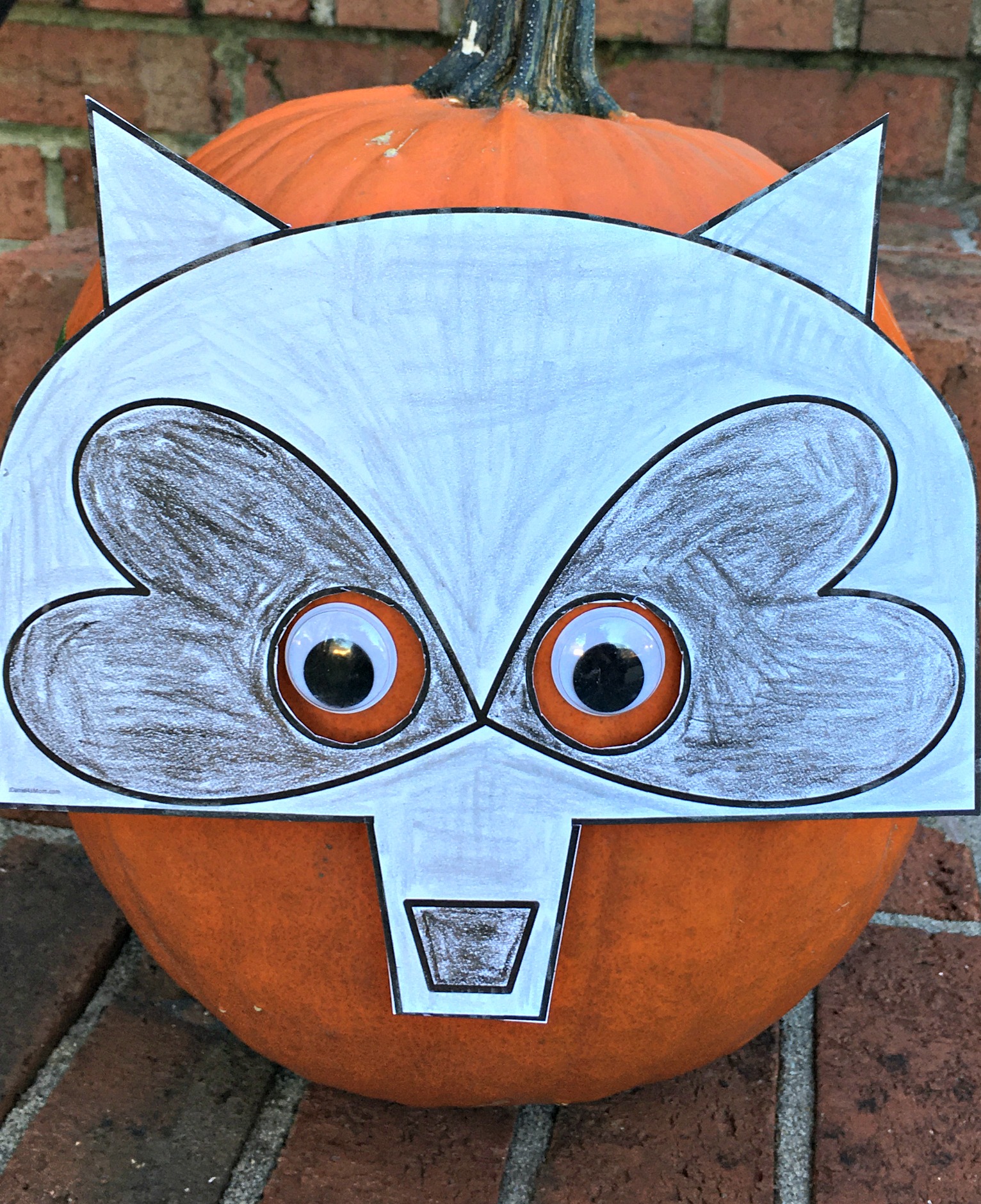 Pumpkin Decorating Ideas - Raccoon Mash
