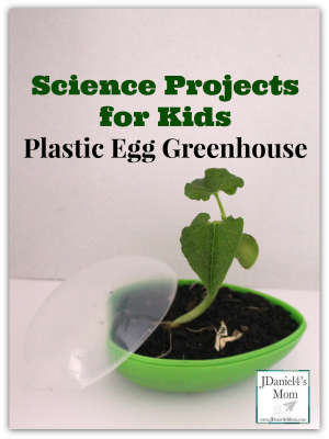science projects for kids- Plastic Egg Greenhouse