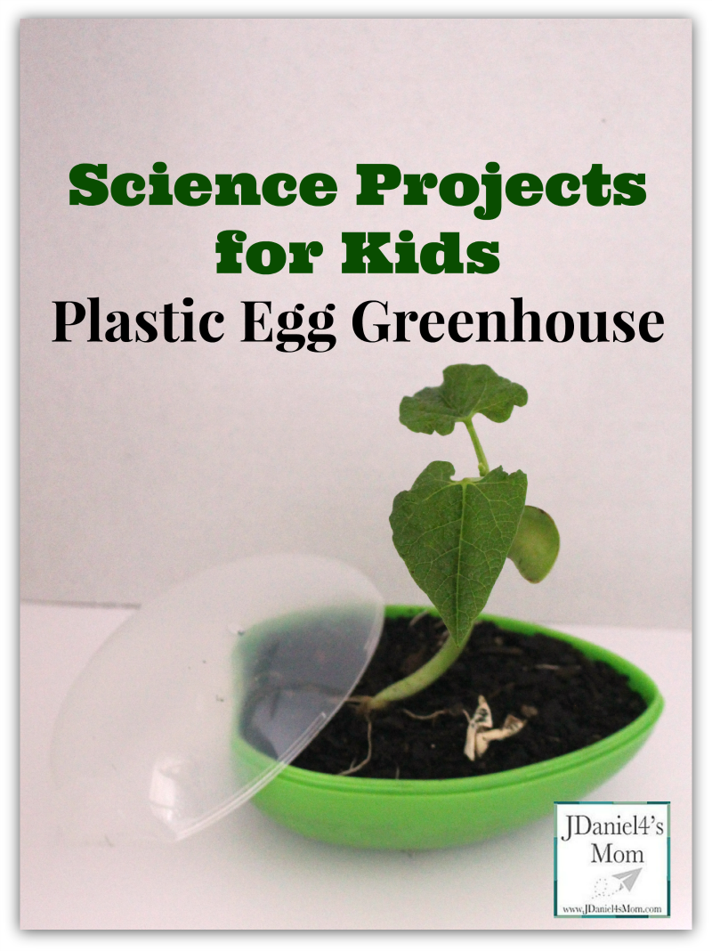 science projects for kids- Plastic Egg Greenhouse 