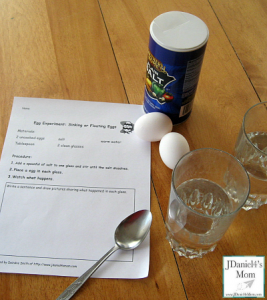 supplies for floating or sinking egg experiments