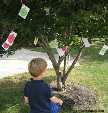Sight Word Game Apple Tree Word Reading