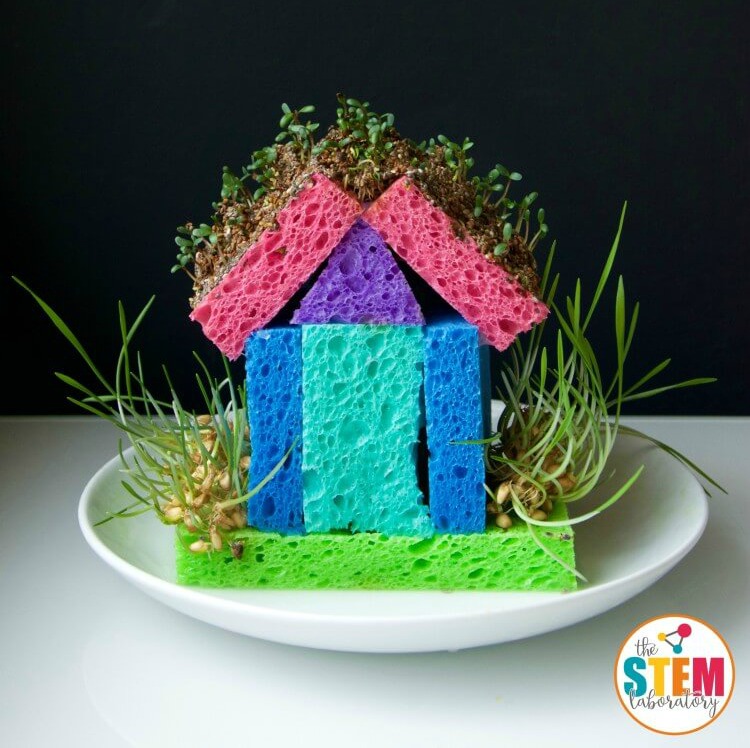 Awesome Gardening Projects for Kids to Explore - Sponge Sprout House