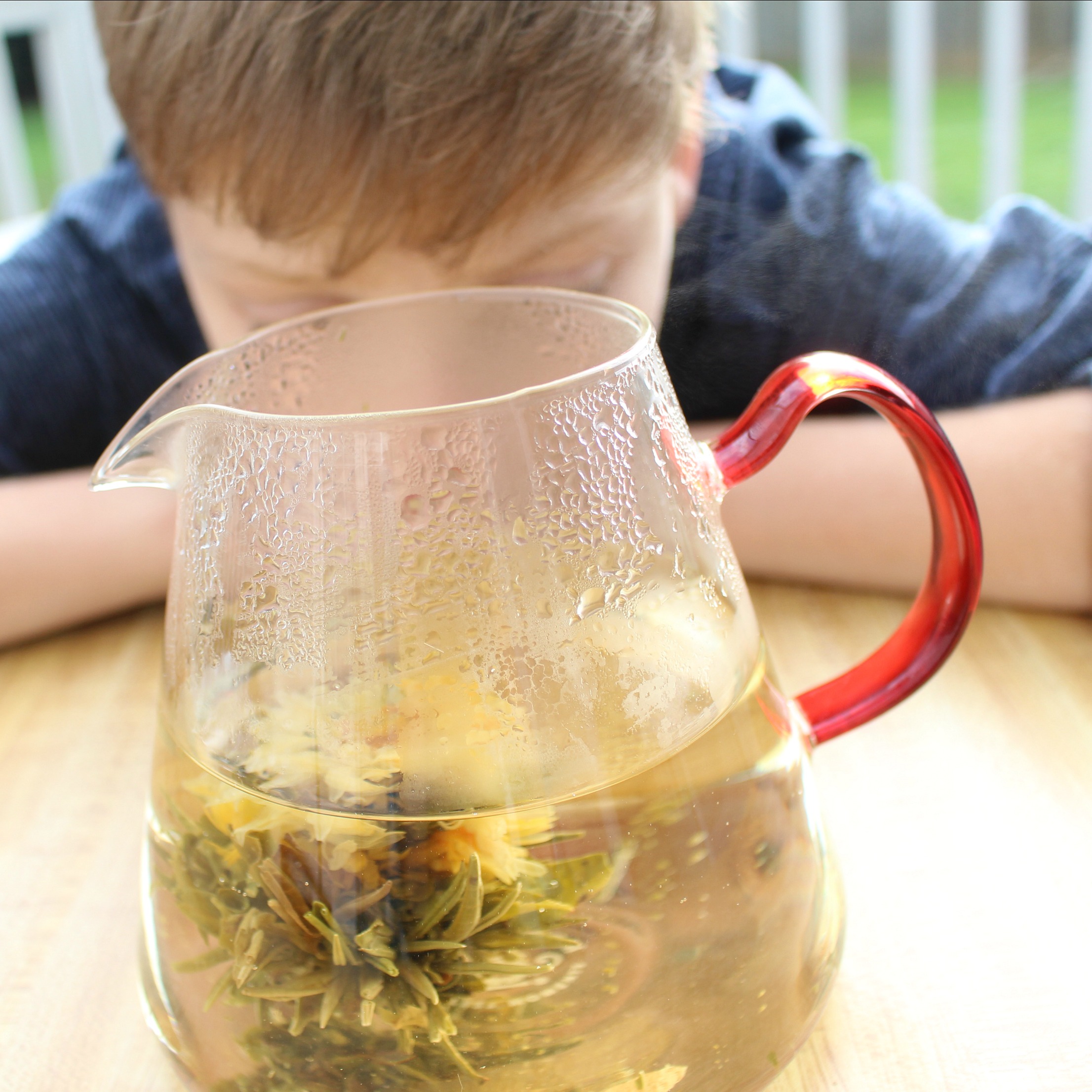 Exploring Infused Hot and Cold Water with Your Senses -Observing the Infused Water