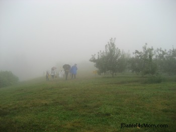 Picking Apples with My Kindergartener